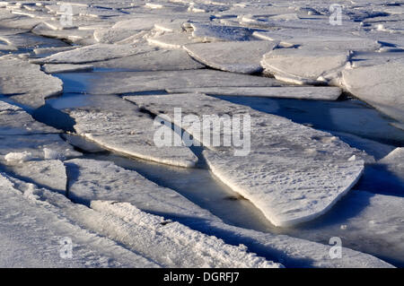 Eisschollen auf der Ostsee aus Stein, Probstei, Plön, schleswig-holstein Stockfoto