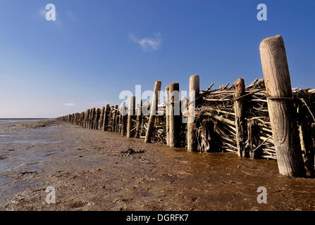 Schutz der Küstengebiete, Holz Buhnen im Wattenmeer der Nordsee, Nordfriesland, Schleswig- Holstein Stockfoto