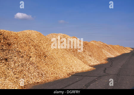 Holz chip Depot, Energie Holz Stockfoto