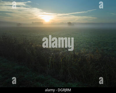 Sonnenaufgang über die Wiesen in der Morgen Nebel, Lindenau, Augsburg, Schwaben, Bayern Stockfoto