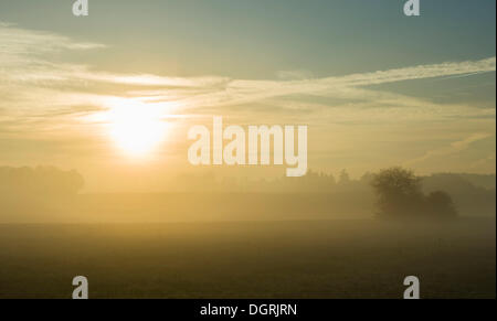 Sonnenaufgang über die Wiesen in der Morgen Nebel, Lindenau, Augsburg, Schwaben, Bayern Stockfoto