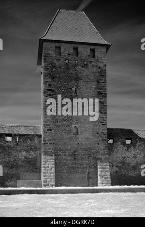 Stadtmauern mit Museum, nibelungenmuseum Worms, Rheinland - Pfalz Stockfoto