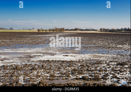 Landwirtschaftlichen Flächen am Rande des Fenlands, nahe dem Dorf Auge, Peterborough, Cambridgeshir gefroren Stockfoto