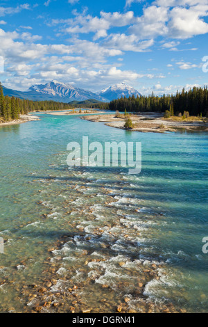 Der Athabasca River fließt durch den Jasper National Park nur außerhalb der Stadt von Jasper kanadischen Rockies Alberta Kanada Stockfoto