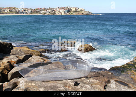 Sydney, Australien. 24. Oktober 2013. Skulptur am Meer verfügt über verschiedene Skulpturen entlang der Küstenweg zwischen Bondi und Tamarama Strände in Sydney. Es findet vom 24 Oktober bis 10. November 2013. Abgebildet ist die Skulptur Nr. 2 verdeckte Handwerk Künstlerin Kirsten Lewis. Copyright © 2013 Richard Milnes/Alamy Live-Nachrichten. Stockfoto