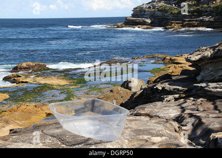 Sydney, Australien. 24. Oktober 2013. Skulptur am Meer verfügt über verschiedene Skulpturen entlang der Küstenweg zwischen Bondi und Tamarama Strände in Sydney. Es findet vom 24 Oktober bis 10. November 2013. Abgebildet ist die Skulptur Nr. 2 verdeckte Handwerk Künstlerin Kirsten Lewis. Copyright © 2013 Richard Milnes/Alamy Live-Nachrichten. Stockfoto