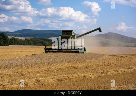 Mähdrescher, arbeiten in einem Weizenfeld, Buttlar, Buttlar, Thüringen, Deutschland Stockfoto