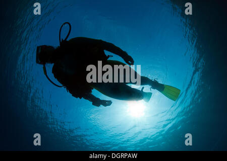 Silhouette von einem Taucher unter Wasser, Pazifik, Australien Stockfoto