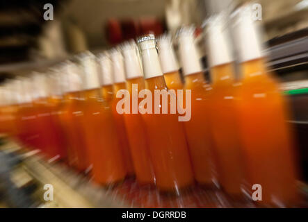 Gefüllten Bierflaschen mit kein Etikett auf einem Förderband, Motion blur, Binding Brauerei, Frankfurt am Main, Hessen Stockfoto