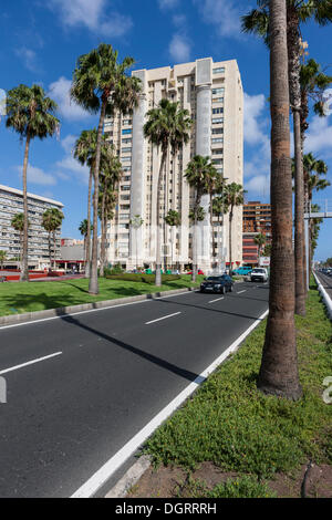 Avenida de Las Canarias, Las Palmas, Gran Canaria, Kanarische Inseln, Spanien, Europa, PublicGround Stockfoto