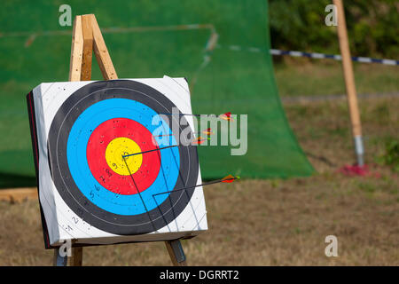 Ziel mit Pfeilen, Pfeil in das Bullseye, Hessen Stockfoto