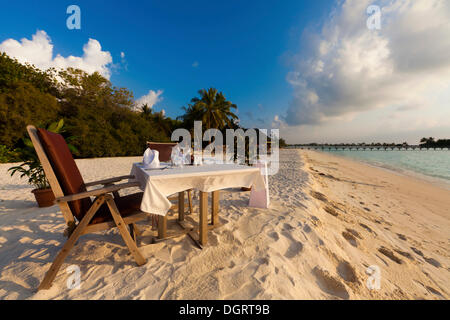 Ein Tisch gedeckt für Abendessen stehen am Strand, Paradise Island auf der Rückseite, Lankanfinolhu, Nord Male Atoll Stockfoto