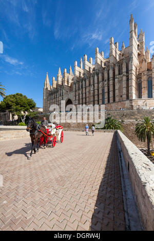 Pferdekutsche vor La Seu Kathedrale, Altstadt Zentrum, Palma de Mallorca, Mallorca, Balearen, Spanien Stockfoto