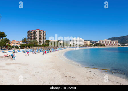 Strandabschnitt in der Nähe von Palma Nova mit Sonnenliegen und Hotels, Palma Nova, Mallorca, Balearen, Spanien, Europa Stockfoto