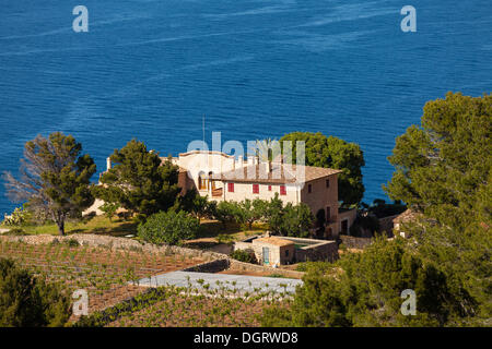 Finca in der Nähe von Banyalbufar, Serra de Tramuntana, Northwestern Küste, Mallorca, Balearen, Mittelmeer, Spanien, Europa Stockfoto