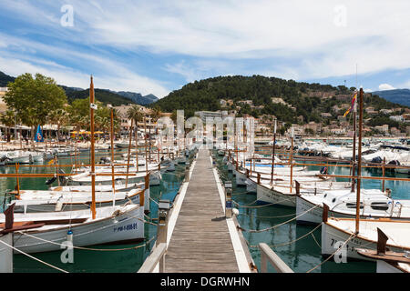 Typische Fischerboote im Hafen von Port de Sóller, Sóller, nordwestlichen Küste von Mallorca, Balearen Stockfoto