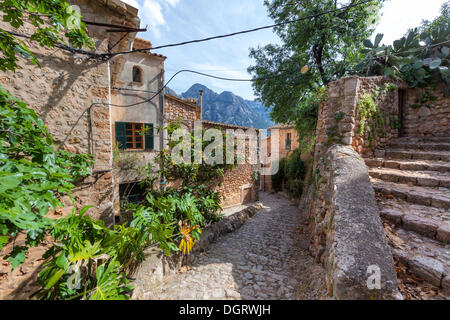 Altstadt von Fornalutx, Mallorca, Mallorca, Balearen, Spanien, Europa Stockfoto