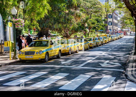 Warten die Taxis in der Avenida Arriaga in der Altstadt von Funchal, Santa Luzia, Funchal, Madeira, Portugal Stockfoto