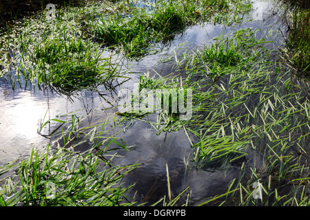 Kilmartin Burn Stockfoto