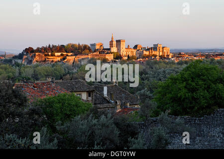 Der Ansicht des Papstes Palast, Avignon, Villeneuve-Les-Avignon, Provence Region, Frankreich, Europa Stockfoto