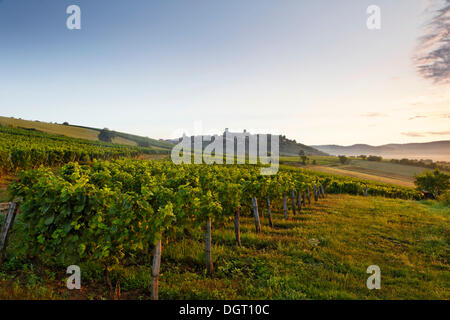 Blick von der Basilika von Sainte Marie-Madeleine in Region Vezelay, Burgund, Departement Yonne, Frankreich, Europa Stockfoto