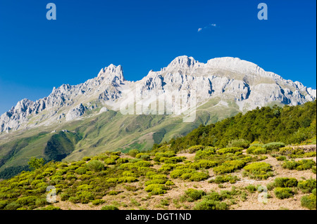 Blick vom Puerto de Pandetrabe, in den Nationalpark Picos de Europa, Leon Provinz Castilla y Leon, Spanien Stockfoto