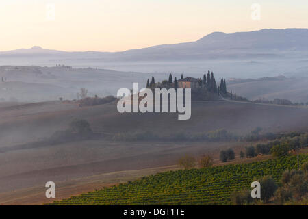 Morgen-Stimmung, Blick Richtung Podere Belvedere, Val d ' Orcia, Orcia-Tals, UNESCO-Weltkulturerbe, der Region Toskana Stockfoto