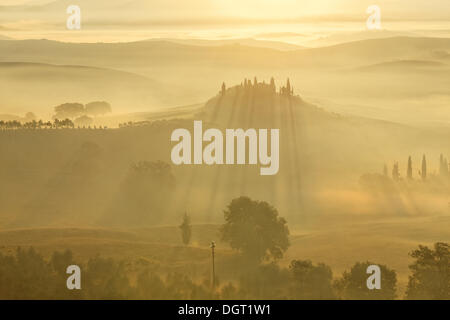 Morgen-Stimmung, Blick Richtung Podere Belvedere, San Qurico d ' Orcia, UNESCO Welt Kultur Erbe Website, Toskana Stockfoto