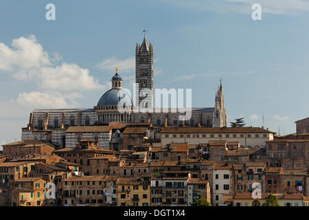 Blick über die Altstadt in Richtung Dom von Siena, Siena, Toskana, Provinz Siena, Italien, Europa Stockfoto
