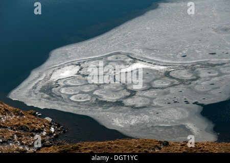 Eis-Muster auf man Na Creige, nahe dem Gipfel des Creag Nan man, Moidart, Hochlandregion, Schottland, UK. Stockfoto