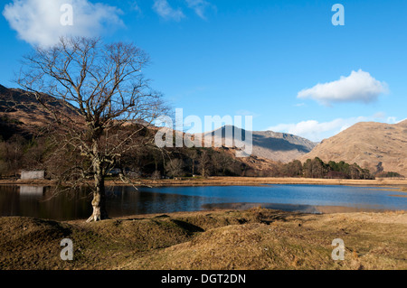 Sgùrr Na Bà Glaise von Loch Nan man in Glen Moidart Hochlandregion, Schottland, UK. Stockfoto