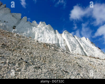 Moens Klint Kreidefelsen, Moen Island, Dänemark, Europa Stockfoto