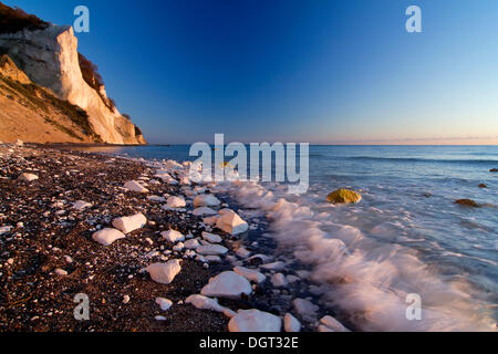 Moens Klint Kreidefelsen in der Morgendämmerung, Moen Island, Dänemark, Europa Stockfoto