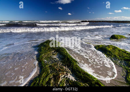 Strand von Ulvshale, Moen Island, Dänemark, Europa Stockfoto