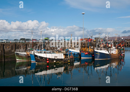 Angelboote/Fischerboote im Hafen von Mallaig, Hochlandregion, Schottland, UK. Stockfoto