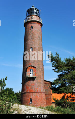 Leuchtturm, abgeschlossen im Jahre 1848, Darßer Ort, Ostseebad Prerow, Darß, Mecklenburg-Vorpommern Stockfoto