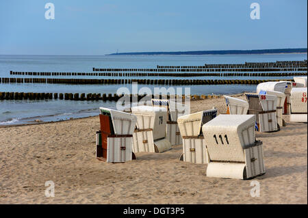 Weiße Strandkörbe und Buhnen an der Ostsee, westlichen Strand Ahrenshoop, Darß, Mecklenburg-Vorpommern Stockfoto