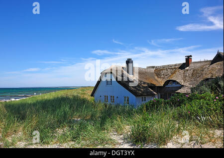 Reetgedeckten Haus in den Dünen von Ahrenshoop, Darß, Mecklenburg-Vorpommern Stockfoto