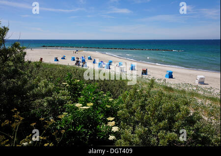 Blick auf den Strand mit Strandkörben in Ahrenshoop an der Ostsee, Darß, Mecklenburg-Vorpommern Stockfoto