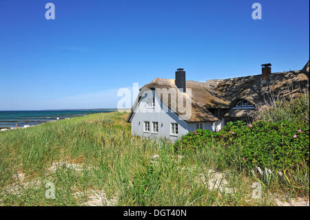 Wohnhaus mit Reetdach in den Dünen von Ahrenshoop, die Ostsee auf der linken Seite, Darß Stockfoto