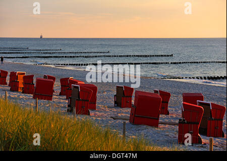 Überdachten Strand Korbsessel an einem Strand im Abendlicht, Weststrand Strand, Buhnen in der Ostsee auf der Rückseite, Ahrenshoop Stockfoto