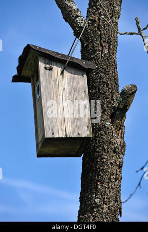 Nistkasten auf ein toter Baum, Hundshaupten, Franken, Oberbayern Stockfoto