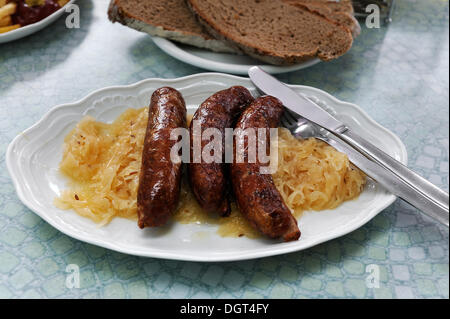 Drei Fränkische Bratwürste mit Sauerkraut auf einer Platte in einer fränkischen Restaurant, Regensberg, Franken, Oberbayern Stockfoto