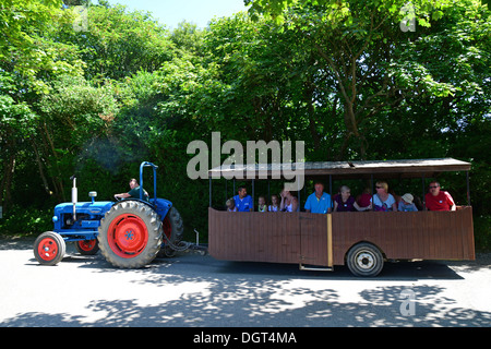 Traktor-Tour an Healeys Cornish Cyder Farm, Penhallow, Truro, Cornwall, England, Vereinigtes Königreich Stockfoto