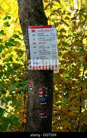 Alte und neue Wandern Zeichen auf einem Baum, Algersdorf, Fränkische Schweiz, Middle Franconia, Bayern, PublicGround Stockfoto