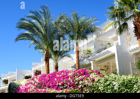 Die Ferienhäuser im Luxushotel, Sharm el Sheikh, Ägypten Stockfoto