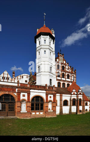 Schloss Basedow Burg, Basedow, Mecklenburgische Schweiz, Mecklenburg-Western Pomerania, Deutschland Stockfoto