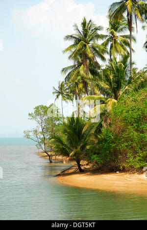 Strand mit Palmen auf der Ostseite der Insel Koh Chang, Nationalpark Mu Ko Chang, Trat, Golf von Thailand, Thailand, Asien Stockfoto