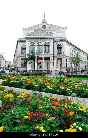 Staatstheater bin Gärtnerplatz, das Staatstheater am Gärtnerplatz, Theater, Opernhaus, Zentrum von München, Oberbayern Stockfoto