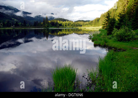 Reflexion im Spechtensee See, Naturschutzgebiet, Landschaft zwischen Tauplitz und Liezen, Salzkammergut, Steiermark-Alpen Stockfoto